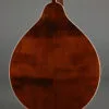 Kentucky KM-156 Mandolin – New