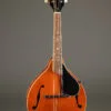 Kentucky KM-252 Mandolin – New