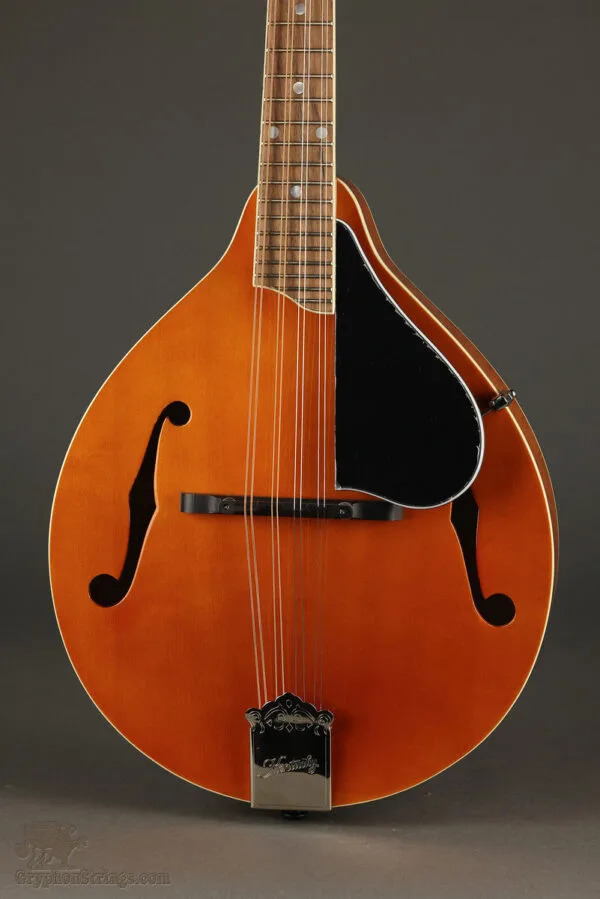 Kentucky KM-252 Mandolin – New