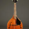 Kentucky KM-252 Mandolin – New