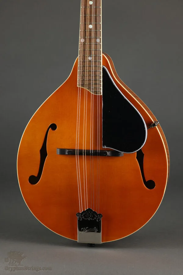 Kentucky KM-252 Mandolin – New
