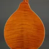 Kentucky KM-252 Mandolin – New