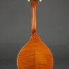 Kentucky KM-252 Mandolin – New