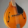 Kentucky KM-252 Mandolin – New