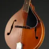 Kentucky KM-252 Mandolin – New