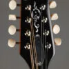Kentucky KM-252 Mandolin – New