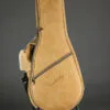 Kentucky KM-252 Mandolin – New