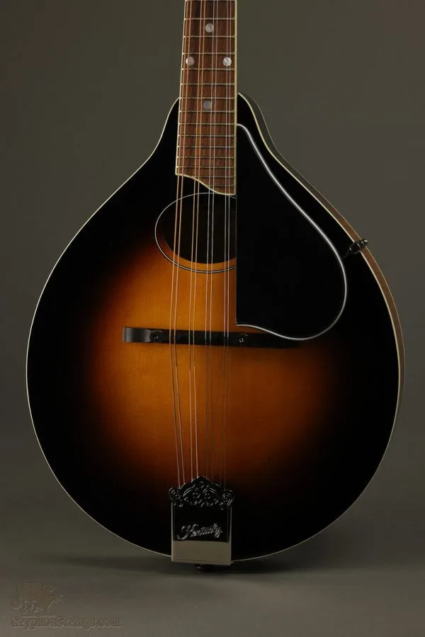Kentucky KM-270 Mandolin – New