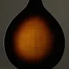 Kentucky KM-270 Mandolin – New