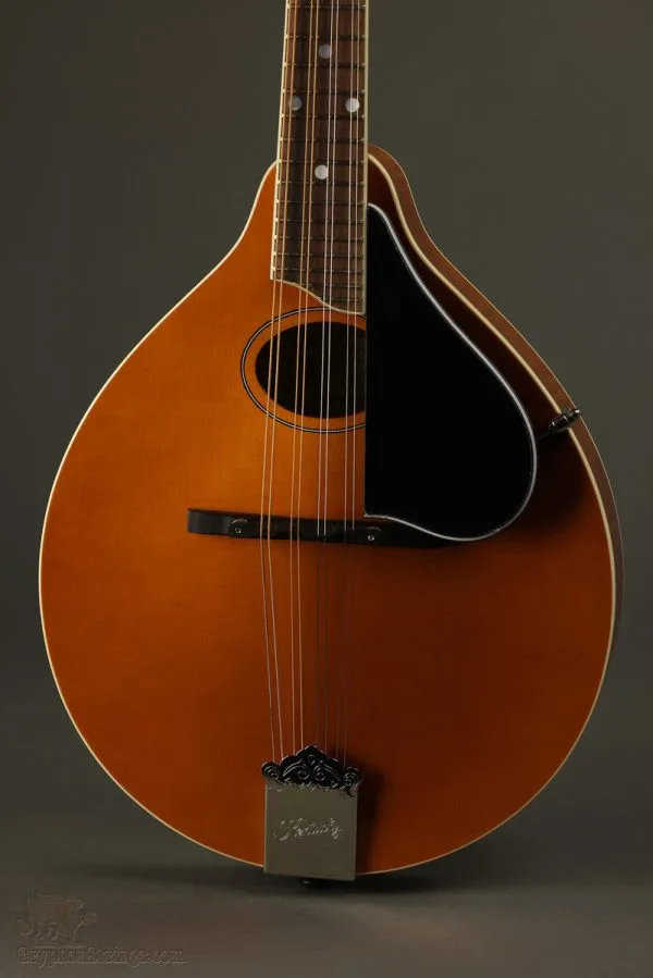 Kentucky KM-272 Mandolin – New