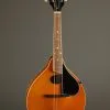 Kentucky KM-272 Mandolin – New
