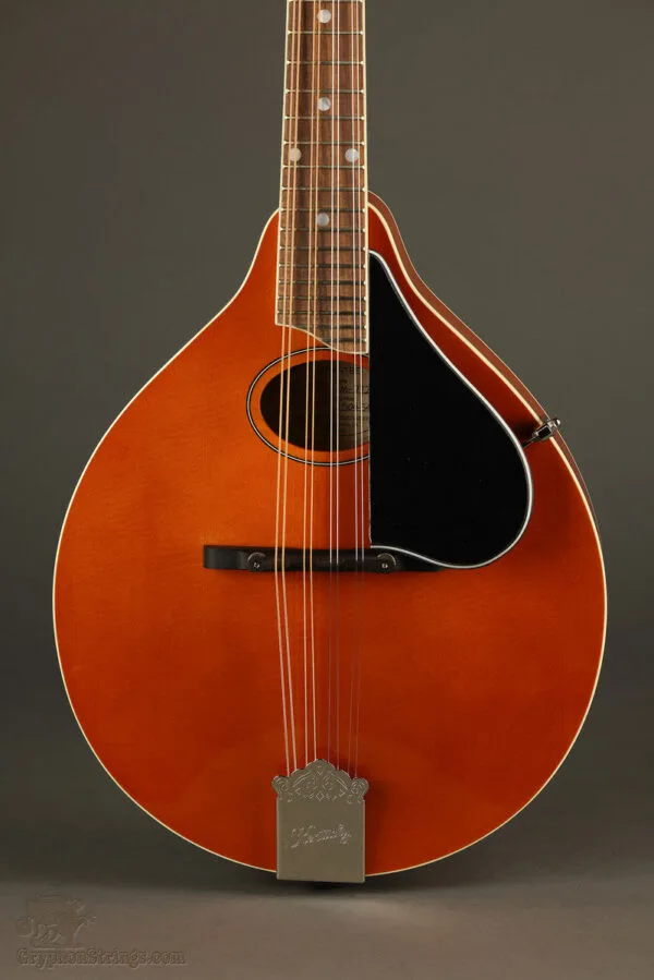 Kentucky KM-272 Mandolin – New