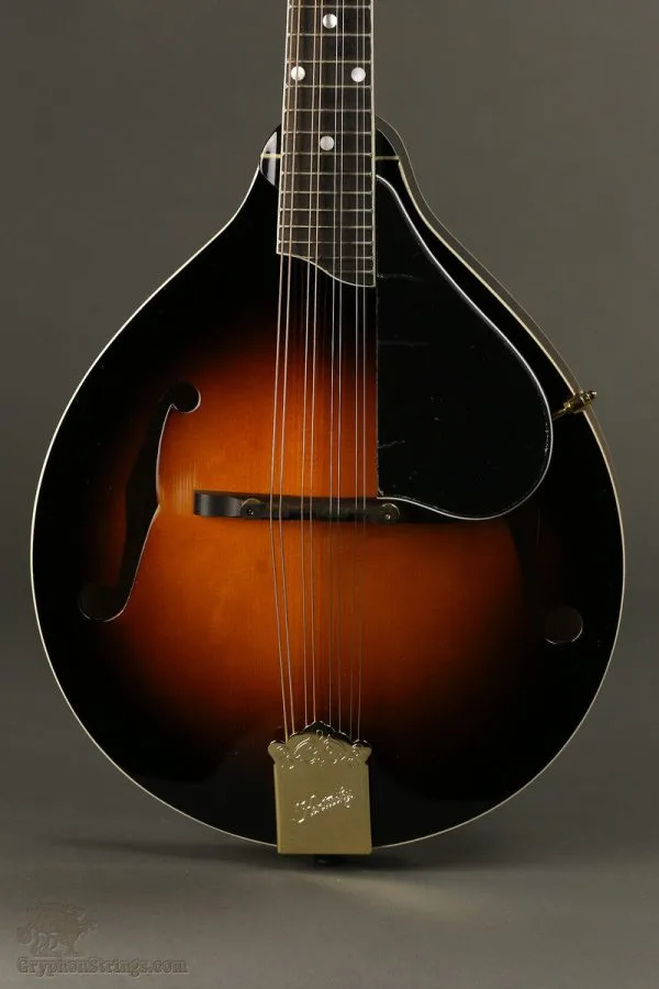 Kentucky KM-500 Mandolin New