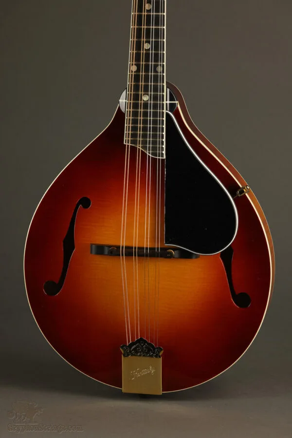 Kentucky KM-505 Mandolin – New