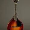 Kentucky KM-505 Mandolin – New