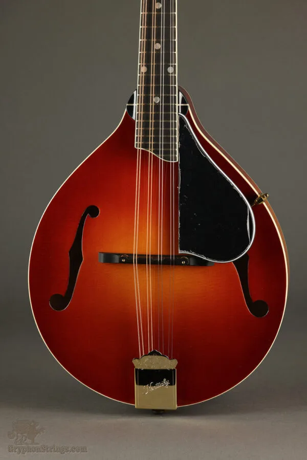 Kentucky KM-505 Mandolin – New