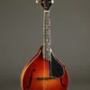 Kentucky KM-505 Mandolin – New