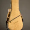 Kentucky KM-670 Mandolin – New