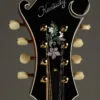Kentucky KM-855 Amberburst Mandolin – New
