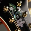 Kentucky KM-855 Amberburst Mandolin – New