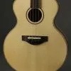 KR Strings Mandolindo Artist Mandolin New