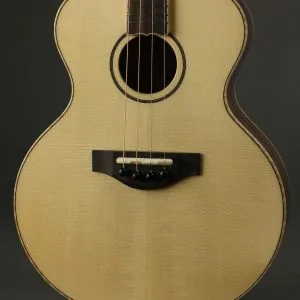 KR Strings Mandolindo Artist Mandolin New