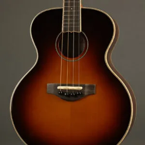 KR Strings Mandolindo Custom Deluxe Mandolin – New