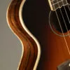 KR Strings Mandolindo Custom Deluxe Mandolin – New