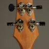 KR Strings Mandolindo Custom Deluxe Mandolin – New