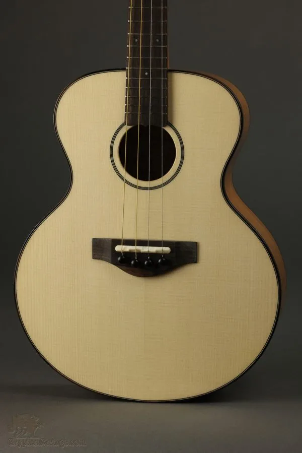 KR Strings Mandolindo Scholar Mandolin New