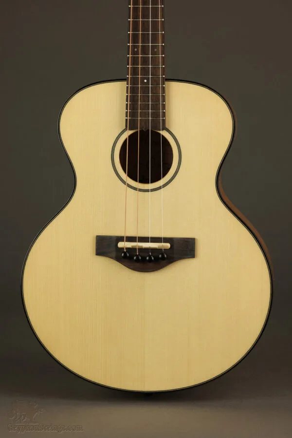KR Strings Mandolindo Scholar Mandolin – New