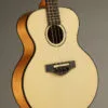 KR Strings Mandolindo Scholar Mandolin – New