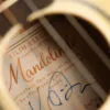 KR Strings Mandolindo Scholar Mandolin – New
