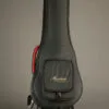 KR Strings Mandolindo Scholar Mandolin – New