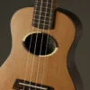 Kremona Coco Concert Ukulele – New
