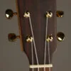 Kremona Coco Concert Ukulele – New