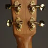 Kremona Coco Tenor Ukulele – New