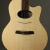 Kremona Daimen Lulo Reinhardt Nylon String Acoustic Electric New