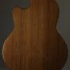 Kremona Daimen Lulo Reinhardt Nylon String Acoustic Electric New