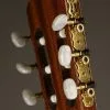 Kremona F65C Soloist Classical Guitar – New