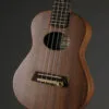 Kremona Mari Concert Ukulele – New