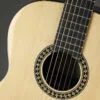 Kremona Romida RD-S Classical Guitar – New
