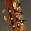 Kremona Rondo R65CWC Nylon String Acoustic-Electric Guitar – New