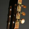 Kremona Rosa Artista RA Flamenco Guitar – New