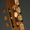 Kremona Rosa Artista RA Flamenco Guitar – New