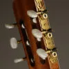 Kremona Rosa Morena Flamenco Guitar – New