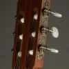Kremona S56C OP 5/8 Size Classical Guitar – New