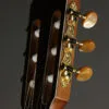 Kremona Sofia S63CW Nylon String Acoustic Electric Guitar – New