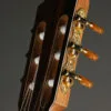 Kremona Sofia SC-T Classical Guitar – New