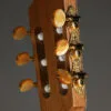 Kremona Sofia SC-T Classical Guitar – New